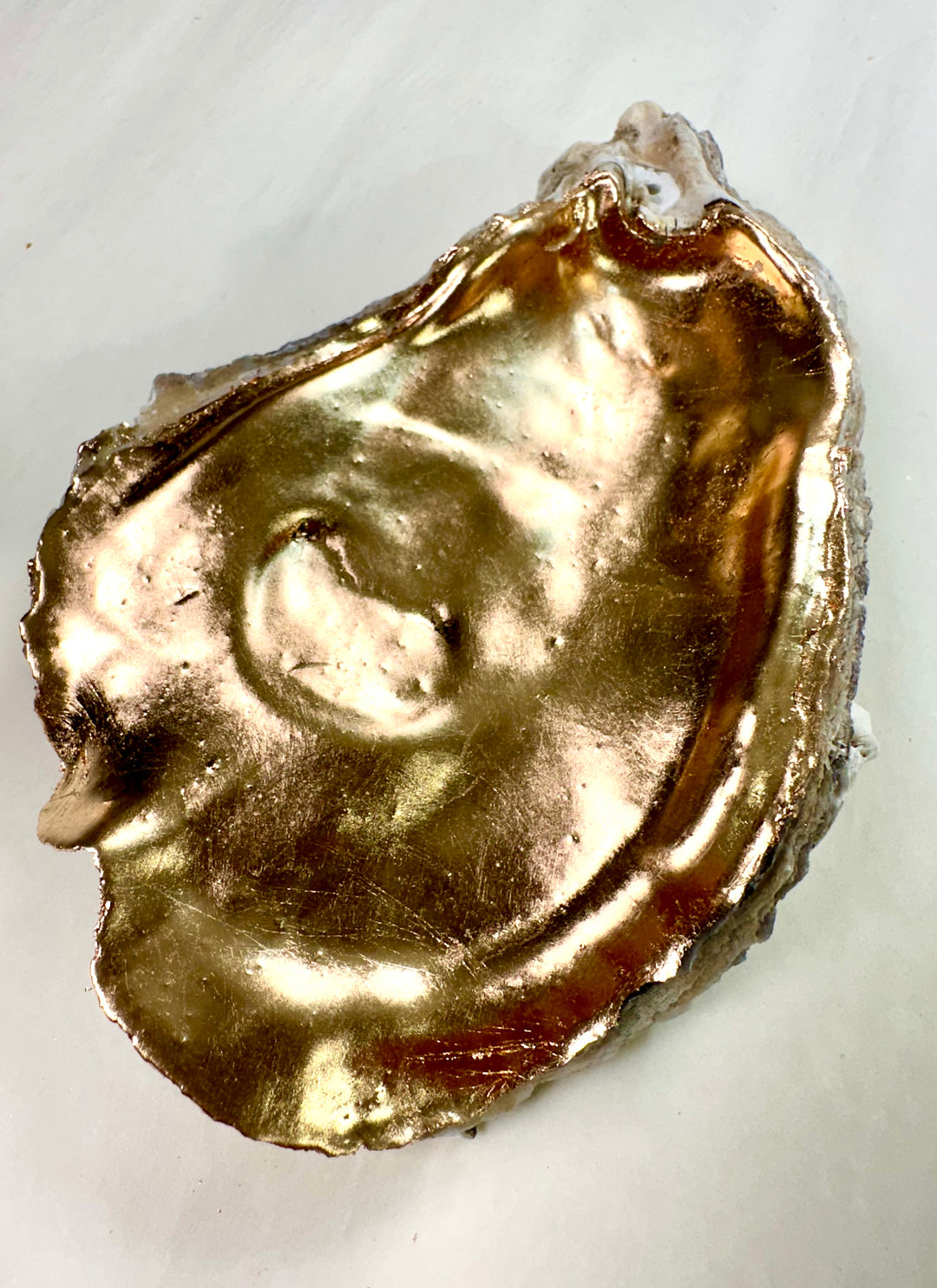 Gilded Shell Gilded oyster shells – PAINTED studio