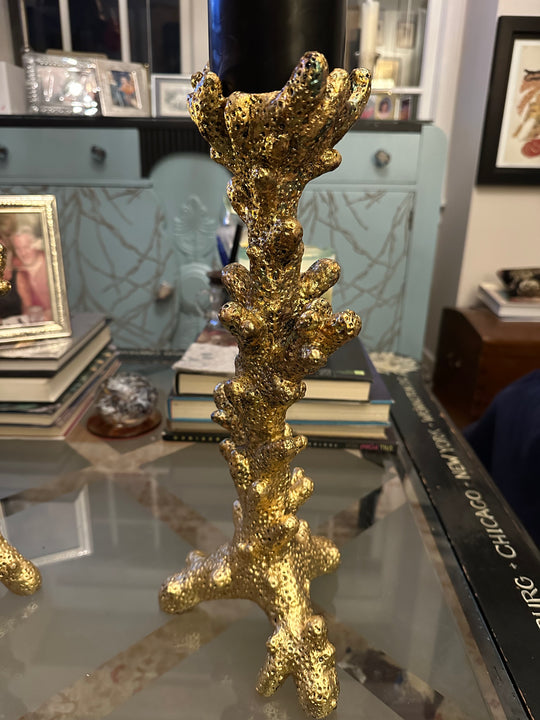 Pair - Gilded Coral Candle Holders Pair