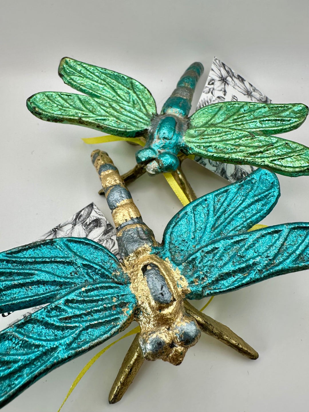 Dragon Fly