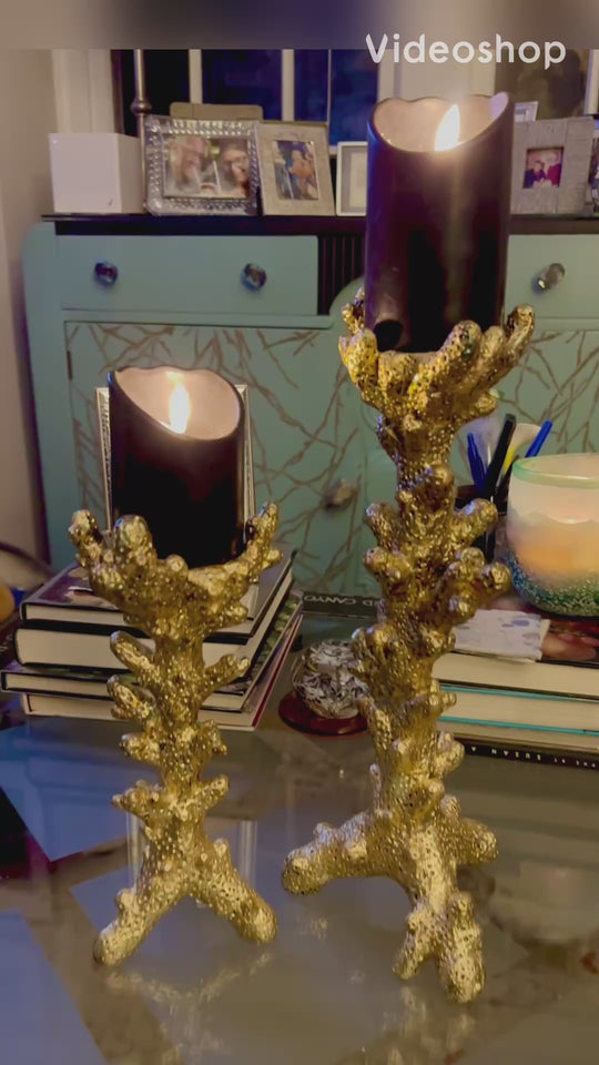 Pair - Gilded Coral Candle Holders Pair