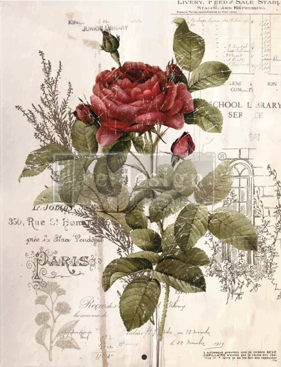 Botanical Rose