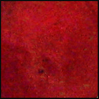 Vivid Metallic Paint - Red Poinsettia